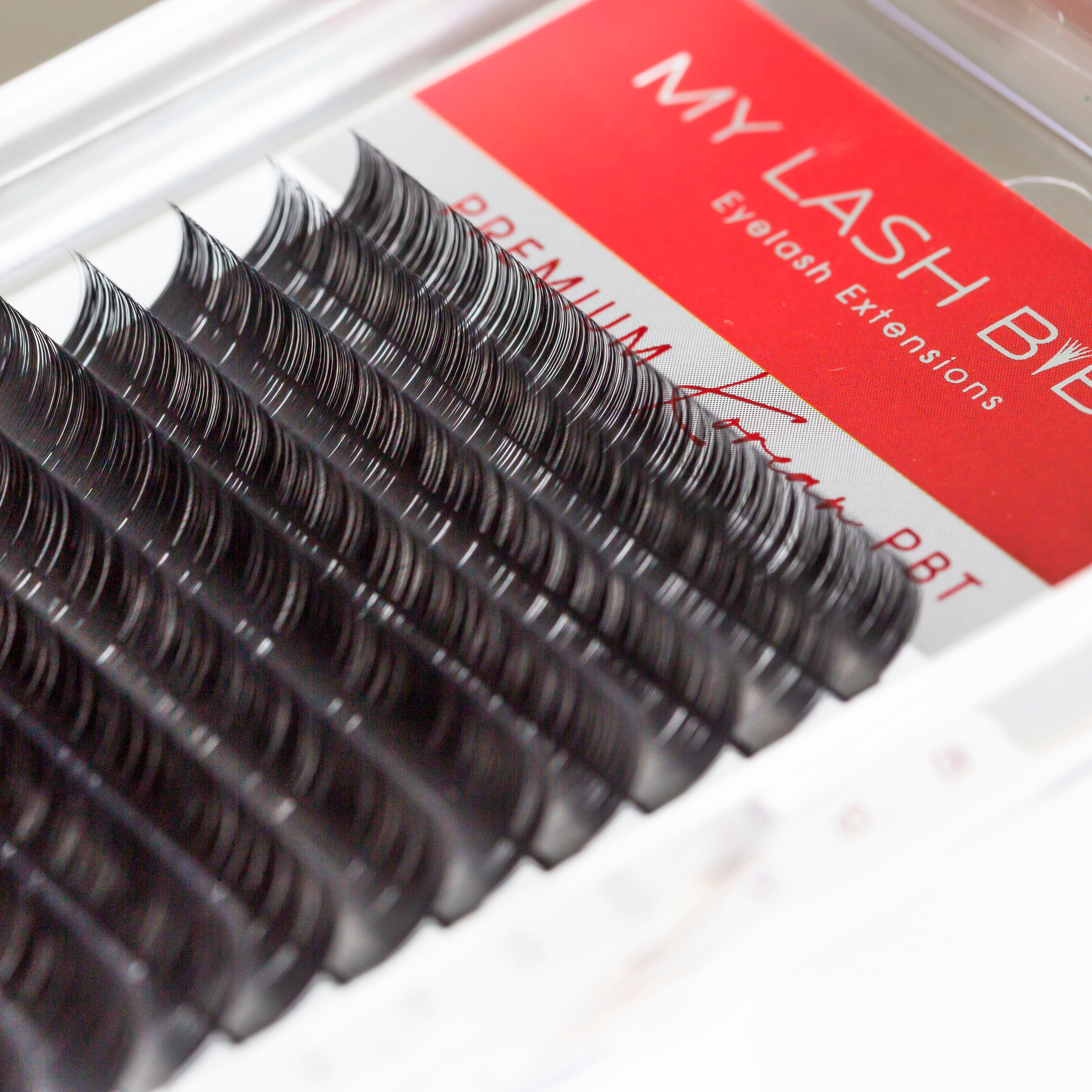 My Lash Bible